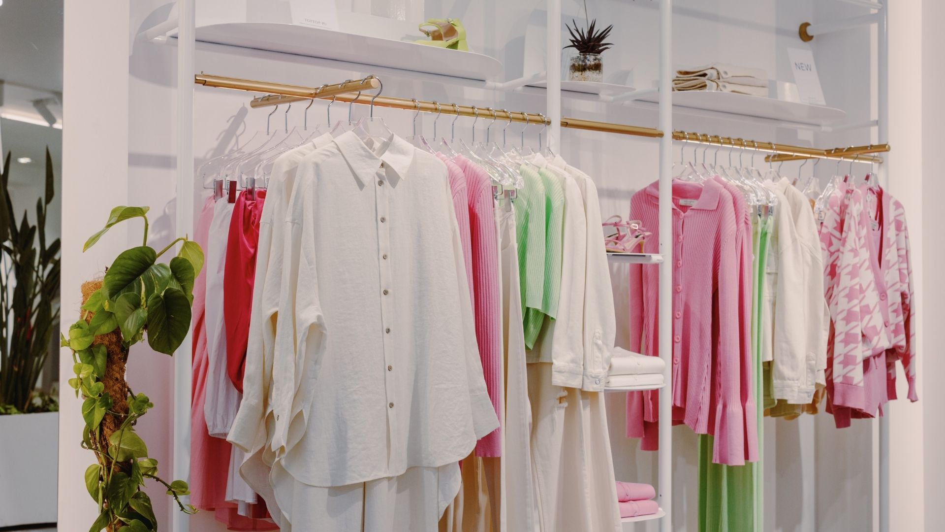 The Tailor Shop (SNS)