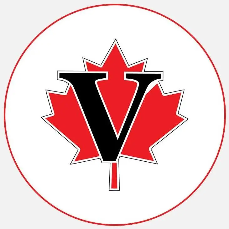visa logo