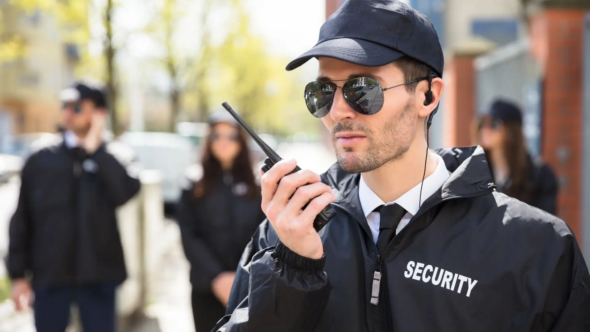 Business-category-Security